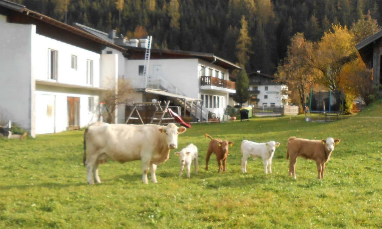Ferienhaus Dankl Hollersbach im Pinzgau Exterior foto
